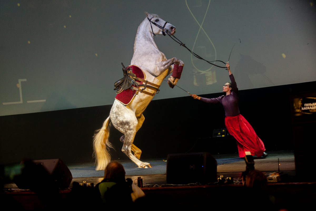 Премия каскадеров Альтер Эго-2021